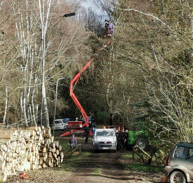 Fällarbeiten im Obertopfstedter Wäldchen so gut wie abgeschlossen (Foto: R. Kämmerer) Fällarbeiten im Obertopfstedter Wäldchen so gut wie abgeschlossen (Foto: R. Kämmerer)