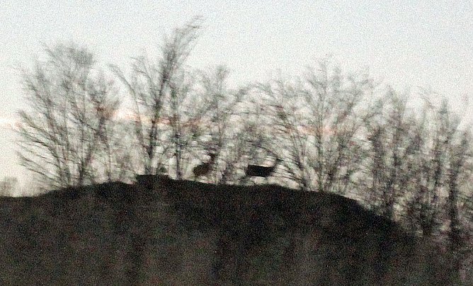 Noch keine touristische Erschlie&szlig;ung gestattet (Foto: Karl-Heinz Herrmann)