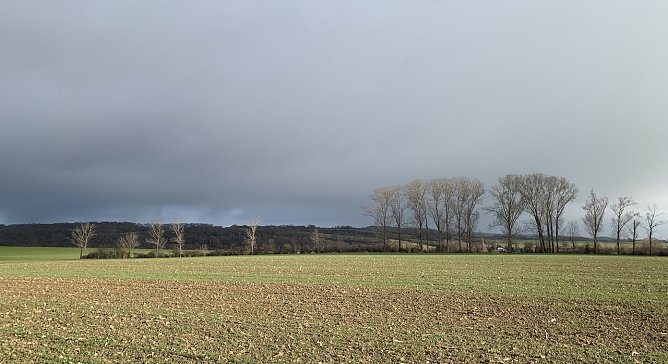 wetter (Foto: oas) wetter (Foto: oas)