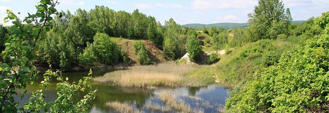 Hilfe f&uuml;r Kammmolch und Co. (Foto: Martin Schulze)