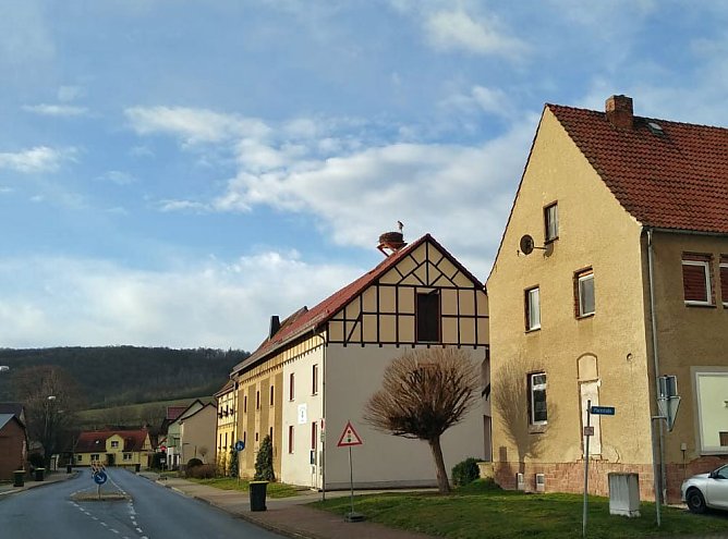 Erster Storch in Seehausen (Foto: Kerstin Hesse)