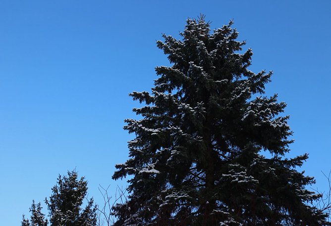 Wetterbild (Foto: Angelo Glashagel)