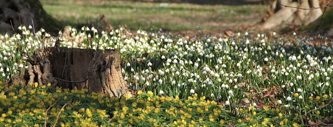 Wetterbild (Foto: Angelo Glashagel) Wetterbild (Foto: Angelo Glashagel)