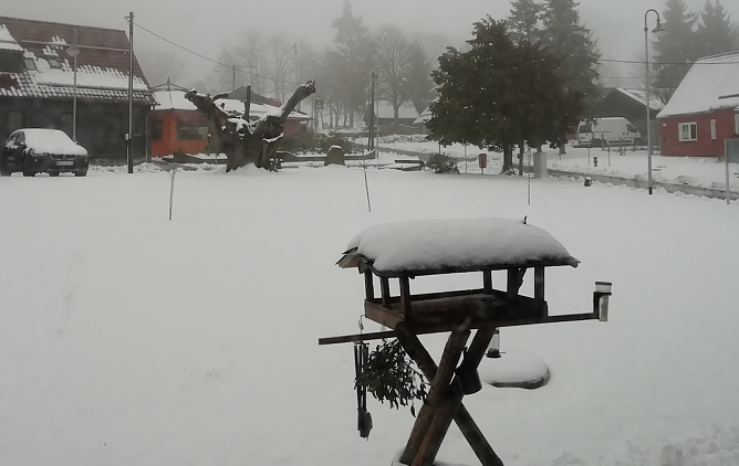 Morgenstund in Sophienhof (Foto: W. Jörgens) Morgenstund in Sophienhof (Foto: W. Jörgens)