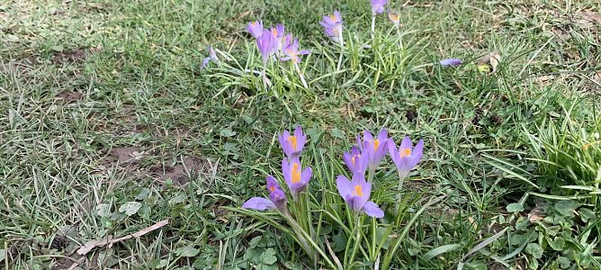 wetter (Foto: oas) wetter (Foto: oas)