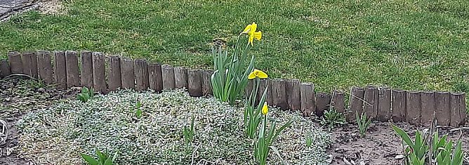 Erfreulich: Neue Termine (Foto: privat) Erfreulich: Neue Termine (Foto: privat)