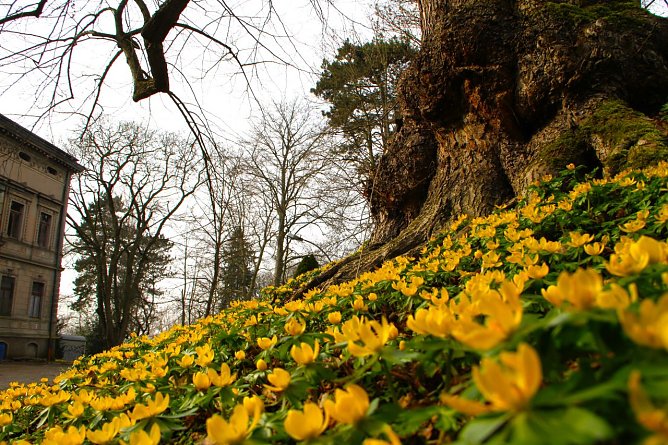 Wetterbild (Foto: Angelo Glashagel) Wetterbild (Foto: Angelo Glashagel)