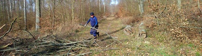 Neues vom 30. Possenlauf 2020 (Foto: SV Glückauf Sondershausen) Neues vom 30. Possenlauf 2020 (Foto: SV Glückauf Sondershausen)