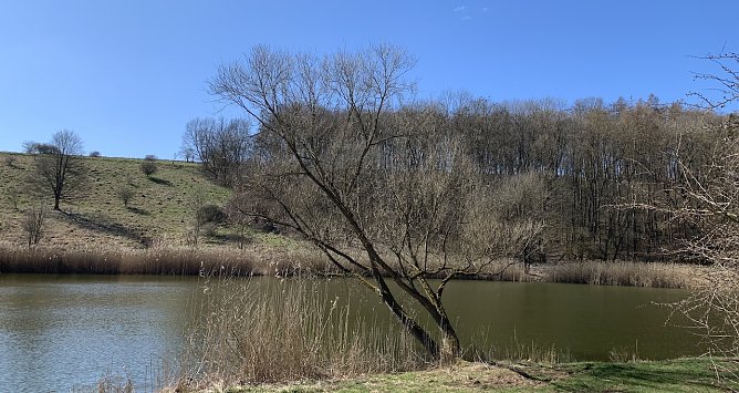 wetter (Foto: oas) wetter (Foto: oas)