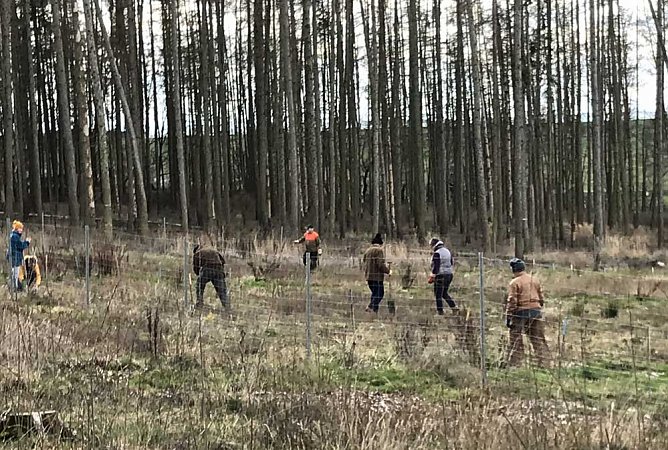 "Jugend pflanzt Zukunft" (Foto: Steffen Eisfeld)