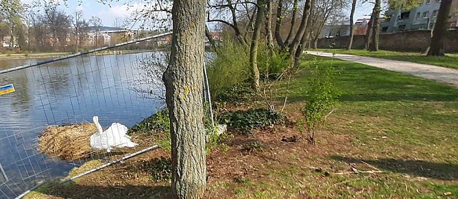 Dies und das aus Sondershausen (Foto: Karl-Heinz Herrmann)