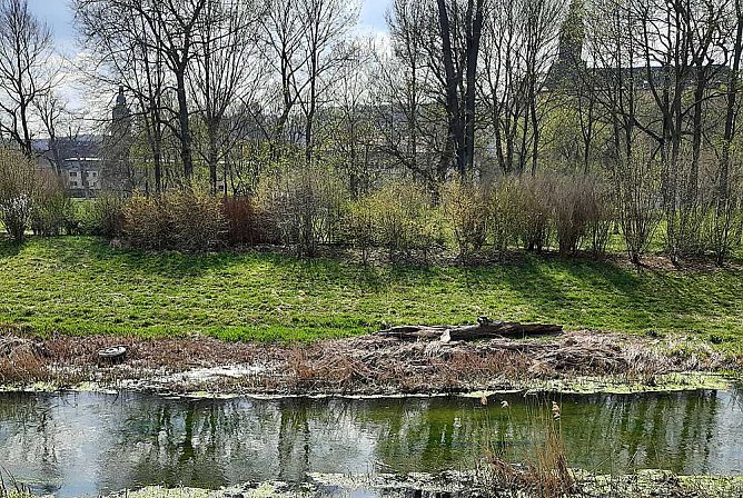 Fr&uuml;hjahrsputz leider ausgefallen (Foto: Karl-Heinz Herrmann)