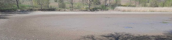 Beim Hammateich kommt Bewegung rein (Foto: Karl-Heinz Herrmann)