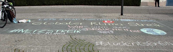 Internetaktion Fridays for Future (Foto: Karl-Heinz Herrmann)