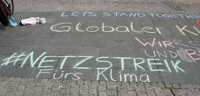 Internetaktion Fridays for Future (Foto: Karl-Heinz Herrmann)