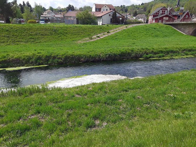 Harmlose Erscheinung (Foto: Karl-Heinz Herrmann)