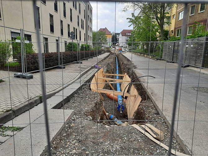 KN auf Fotopirsch (Foto: Karl-Heinz Herrmann)