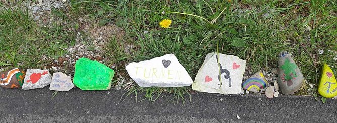 KN auf Fotopirsch (Foto: Karl-Heinz Herrmann)