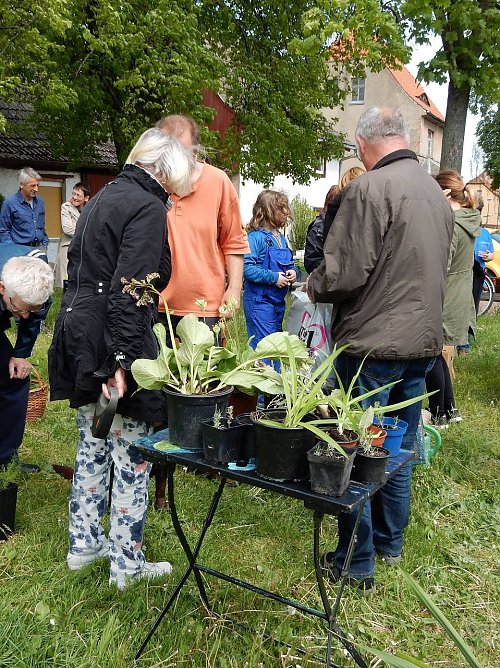Pflanzentauschregal statt Pflanzentauschb&ouml;rse (Foto: Andreas Zeidler)