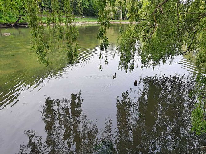 Kleiner Parkteich f&uuml;llt sich wieder (Foto: Karl-Heinz Herrmann)
