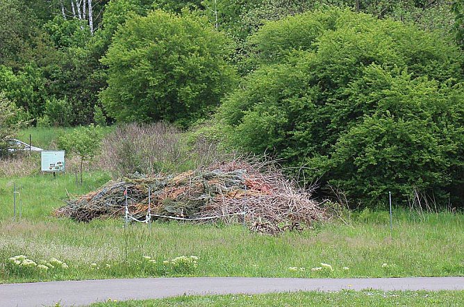 Skate Arena wird "aufgeh&uuml;bscht" (Foto: Karl-Heinz Herrmann)