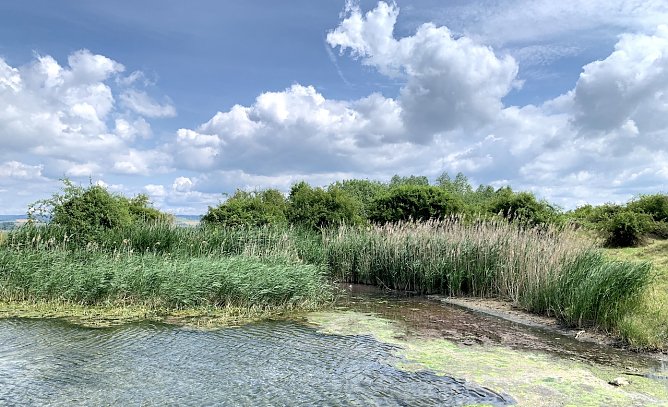 Stausee bei Kelbra (Foto: oas)