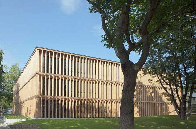 Wie kommt das CO<sub>2</sub> in das Holzbrett? (Foto: Dr. Horst Sproßmann - ThüringenForst) Wie kommt das CO<sub>2</sub> in das Holzbrett? (Foto: Dr. Horst Sproßmann - ThüringenForst)