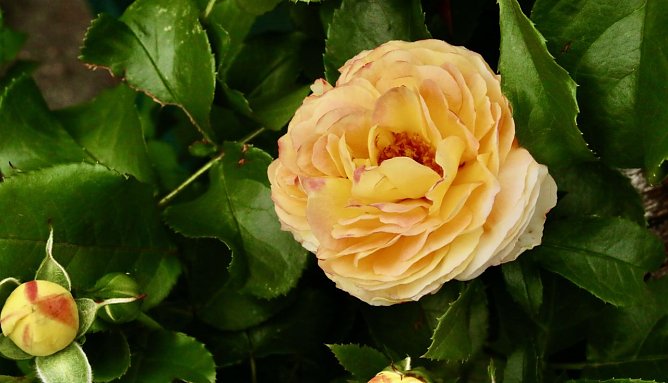 Wetterbild (Foto: agl)