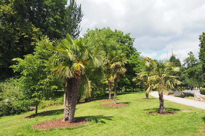 Japanischer Garten Bad Langensalza (Foto: Friedling)