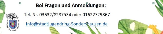 Ferien auf dem Abenteuerspielplatz (Foto: Stadtjugendring)