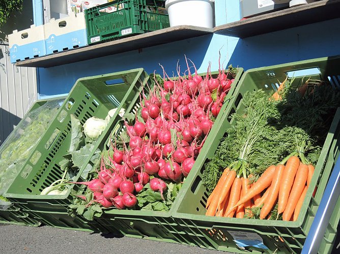 Wo bleibt die Lösung zum Einkaufen? (Foto: privat) Wo bleibt die Lösung zum Einkaufen? (Foto: privat)