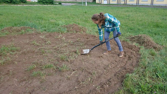 GÄRTNERN & ERNTEN FÜR ALLE (Foto: Katrin Sieber) GÄRTNERN & ERNTEN FÜR ALLE (Foto: Katrin Sieber)