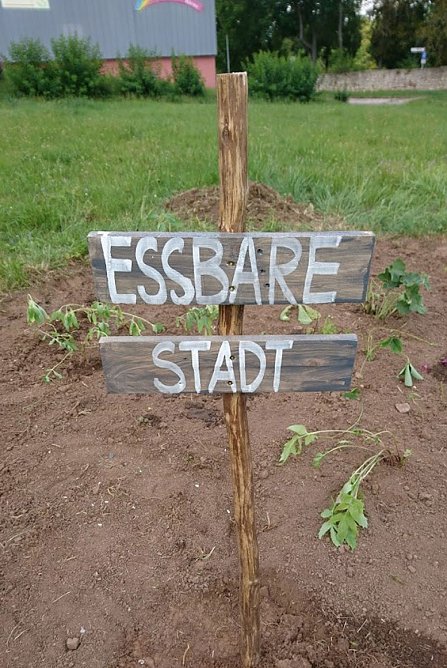 GÄRTNERN & ERNTEN FÜR ALLE (Foto: Katrin Sieber) GÄRTNERN & ERNTEN FÜR ALLE (Foto: Katrin Sieber)