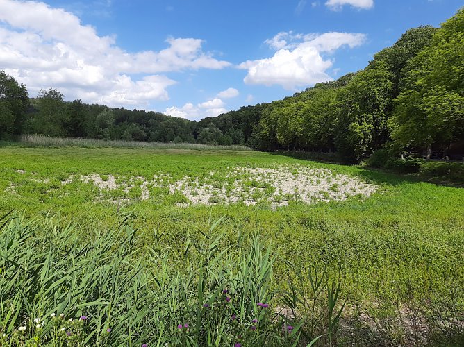Dies und das aus Sondershausen (Foto: Karl-Heinz Herrmann)