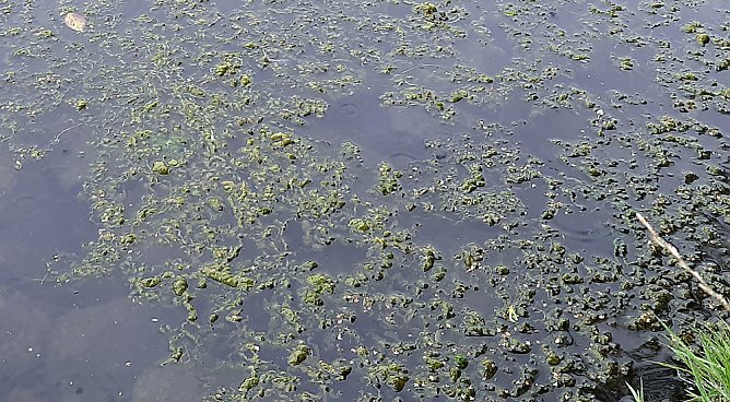 Fernsehen an der Kiesgrube und mehr (Foto: Fernsehen an der Kiesgrube und mehr) Fernsehen an der Kiesgrube und mehr (Foto: Fernsehen an der Kiesgrube und mehr)
