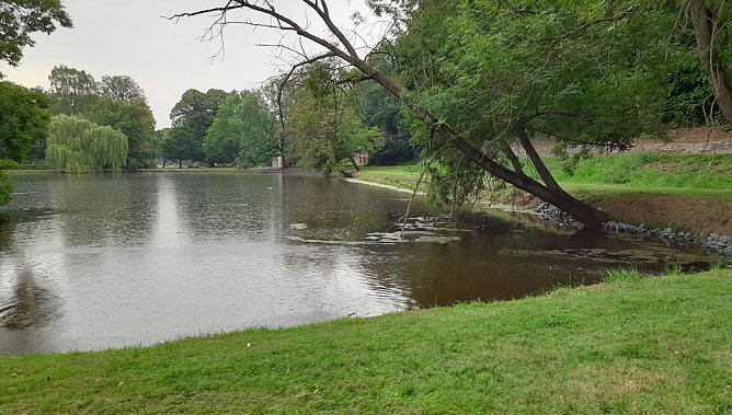 Fernsehen an der Kiesgrube und mehr (Foto: Fernsehen an der Kiesgrube und mehr) Fernsehen an der Kiesgrube und mehr (Foto: Fernsehen an der Kiesgrube und mehr)