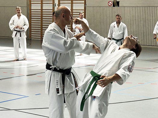 Frank Pelny (li.) beim Training (Foto: Karate Do Kwai Club)
