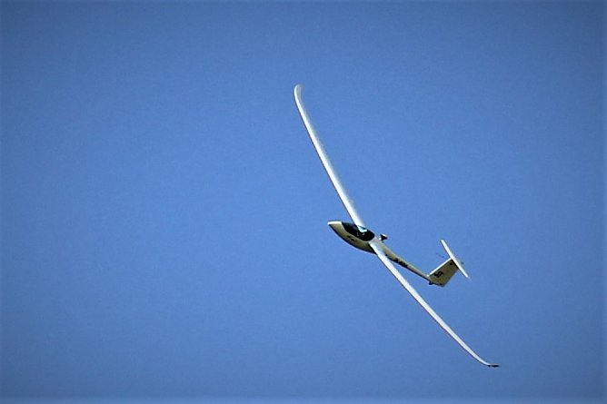 Zwei Neulinge am Frankenhäuser Himmel (Foto: Marion Haas und David Dietrich<) Zwei Neulinge am Frankenhäuser Himmel (Foto: Marion Haas und David Dietrich<)