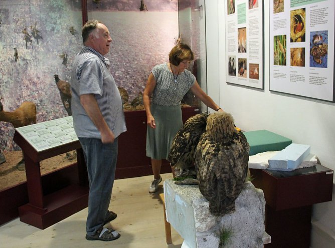Uhus f&uuml;r das Schlossmuseum (Foto: Karl-Heinz Herrmann)