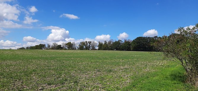 Vertrocknete B&auml;ume, B&auml;nke und mehr (Foto: Karl-Heinz Herrmann)