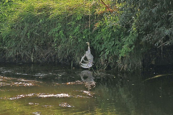 Unstrut Krokodil l&auml;sst sich nicht locken (Foto: Silvio Dietzel)