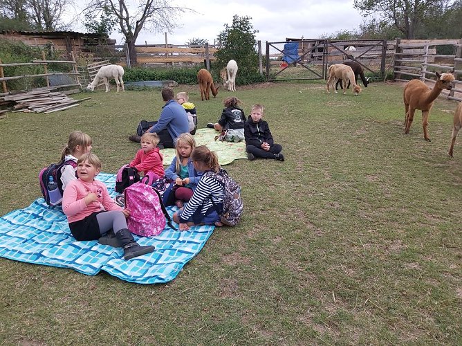 Erfolgreicher R&uuml;ckblick (Foto: Freizeitzentrum / Mehrgenerationenhaus Ro&szlig;leben-Wiehe )