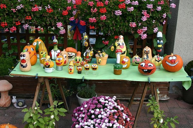 K&uuml;rbisse &uuml;ber K&uuml;rbisse (Foto: J&uuml;rgen M&uuml;ller)