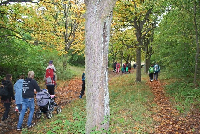 Sollen wir oder sollen wir nicht? (Foto: Katrin Milde)