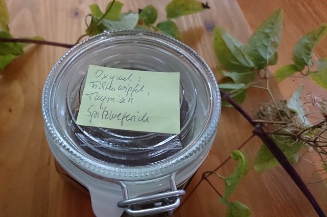 GESUNDES KOMMUNIKATIVES FR&Uuml;HST&Uuml;CK im HOC (Foto: Katrin Sieber)