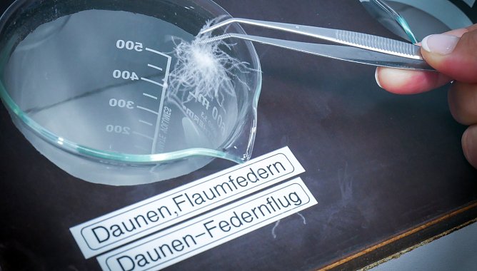 Daunendecken getestet (Foto: Stiftung Warentest)