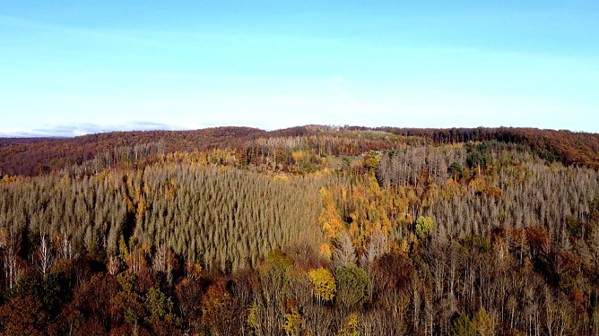 Blick in den S&uuml;dharz (Foto: Peter Blei)