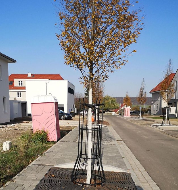 Barrierefreiheit in Sondershausen fehlt immer noch an vielen Stellen (Foto: Thomas Leipold)