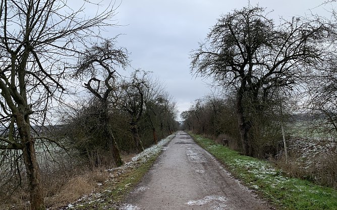 In der Windl&uuml;cke in Nordhausen (Foto: oas)