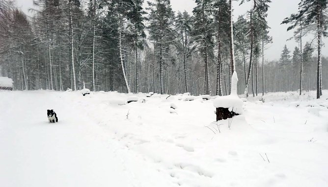 Winterwetter heute bei Sophienhof (Foto: W. J&ouml;rgens)